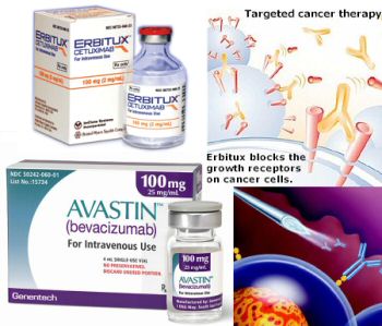 erbitux head and neck cancer