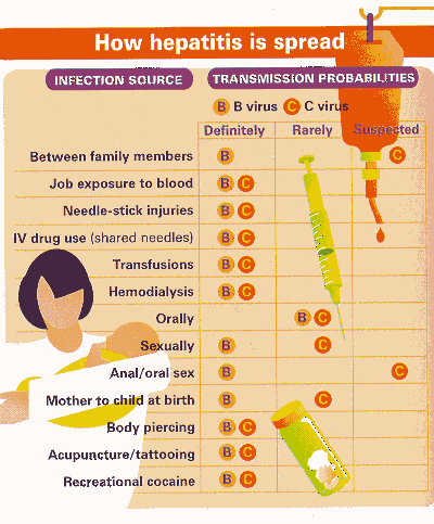 hepatitis b and c