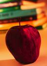 pancreatic cancer diet