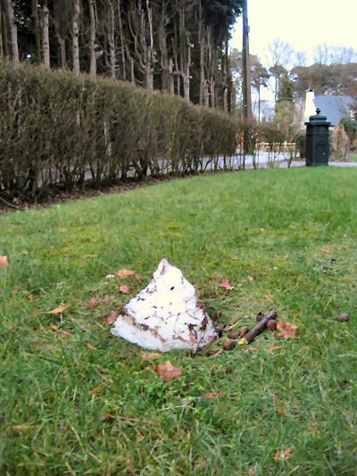 snowman cancer cure